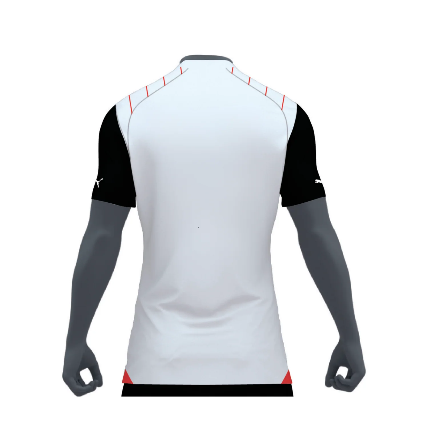 2024/25 - Third Shirt - Image 2