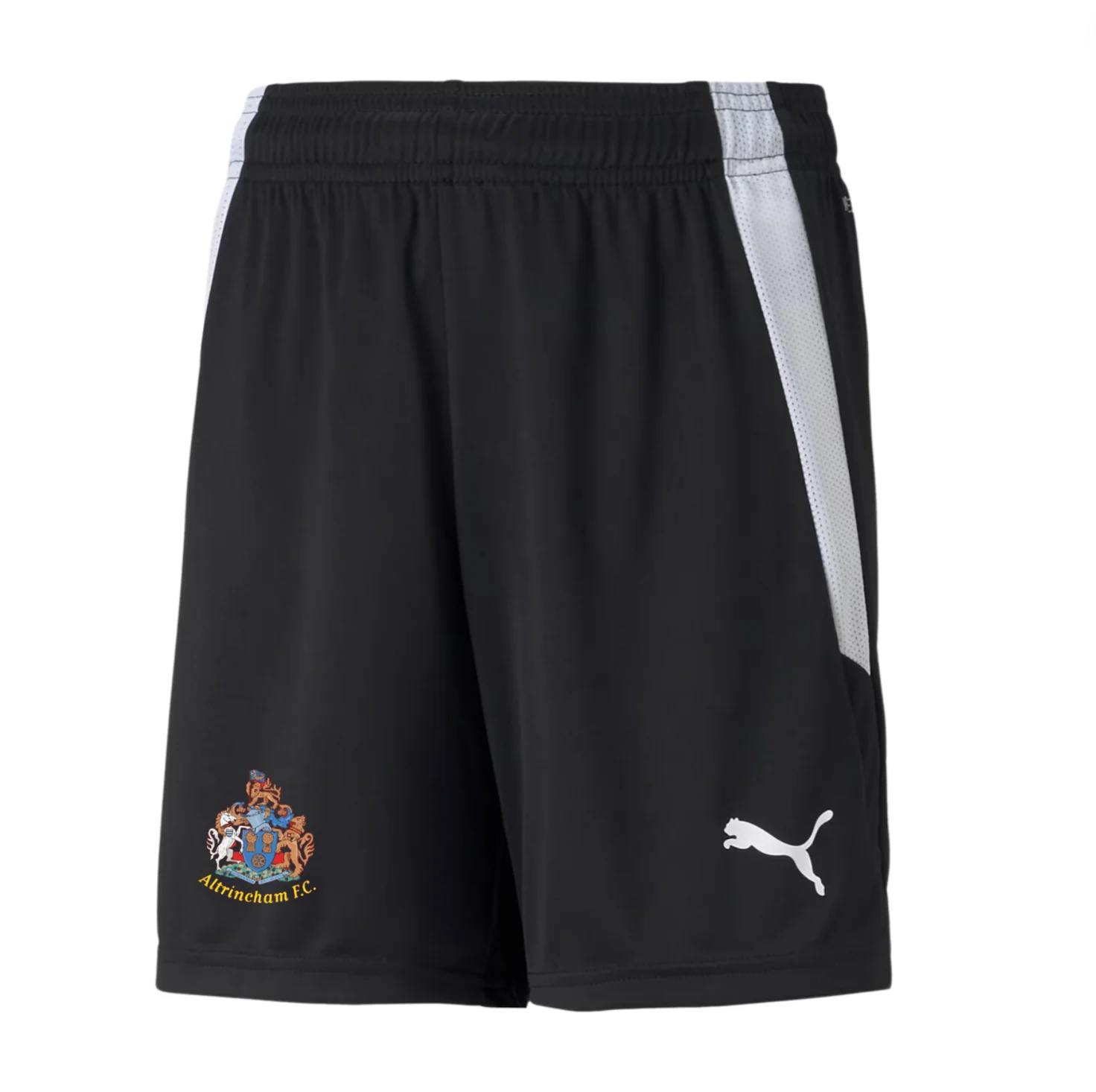 Puma Training Shorts - Black